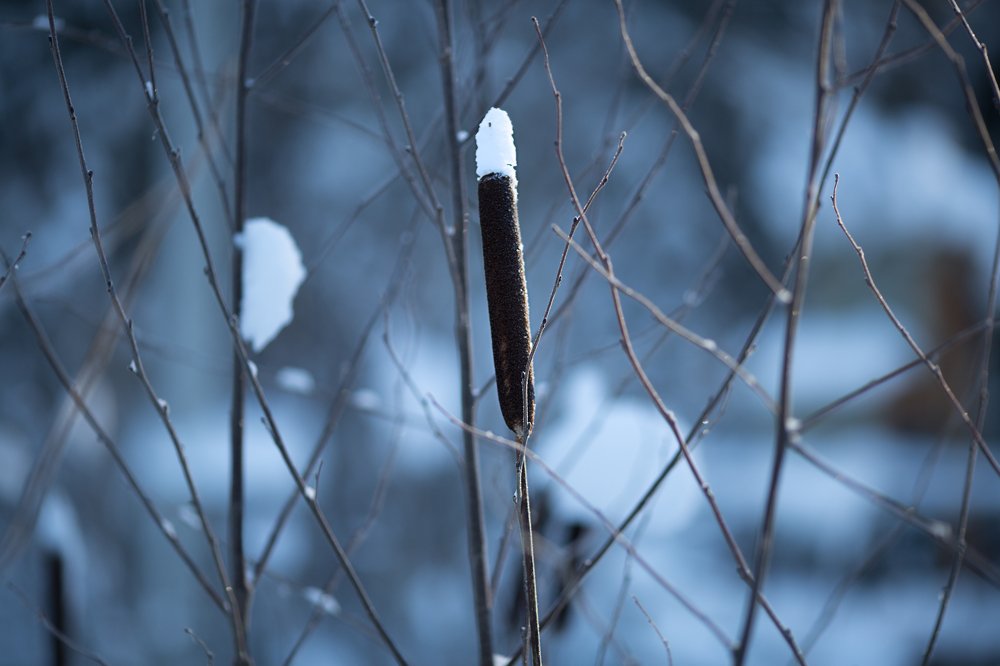 Photograph by Ирина Егорова