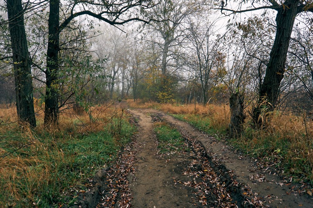 Photograph by Андрей Чуприна
