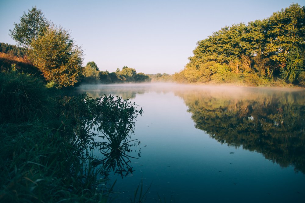 Photograph by Елена Демина