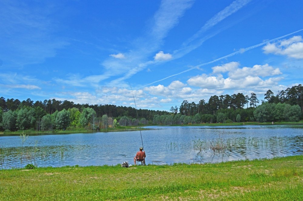 Фотография автора Клавдия Васильева