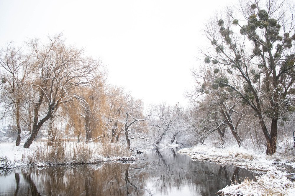 Photograph by Тараненко Анастасия