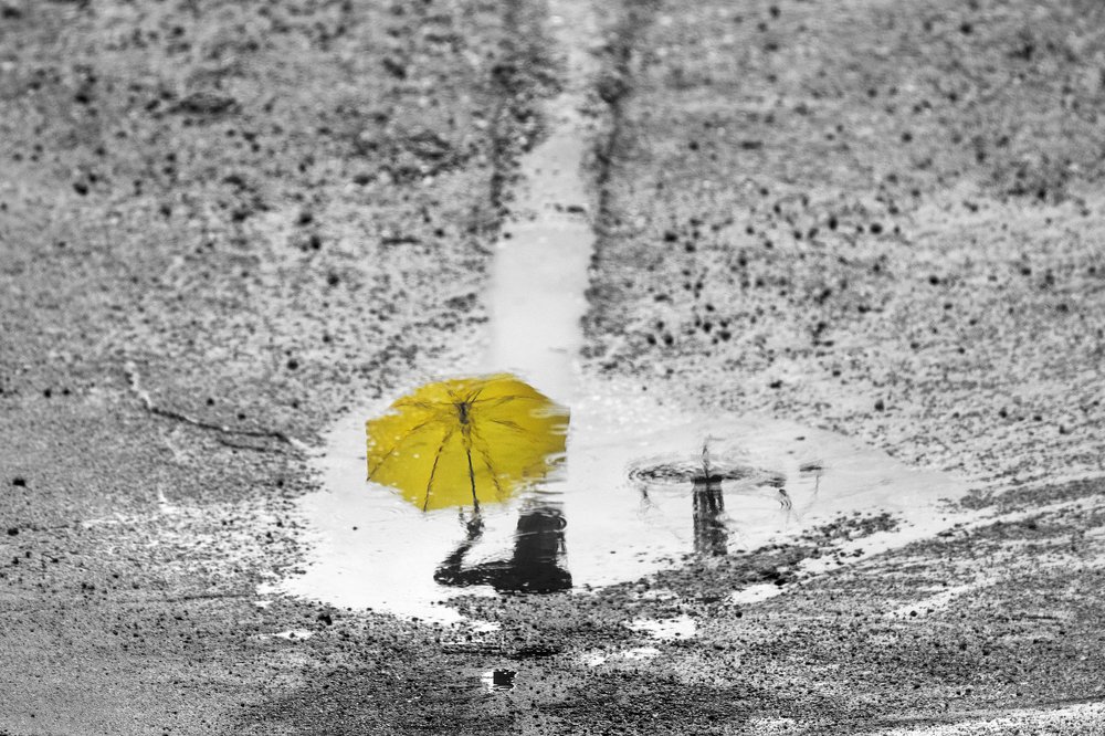 Photograph by Marina Pinskiy