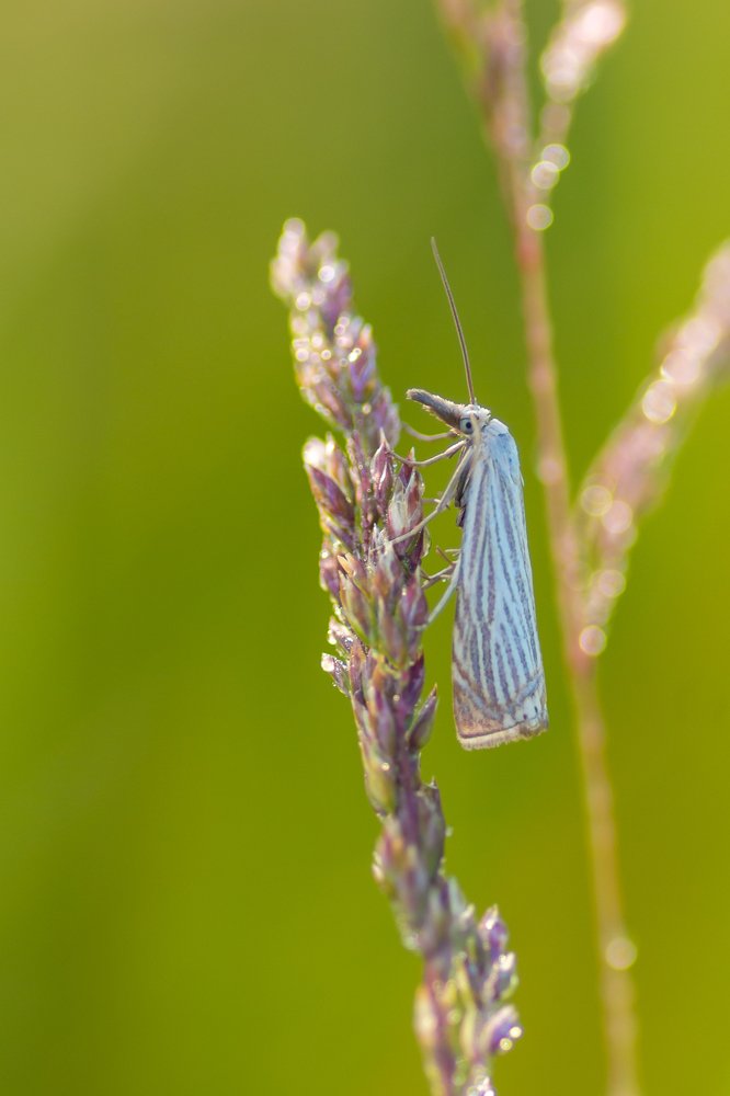 Photograph by Жданов Дмитрий