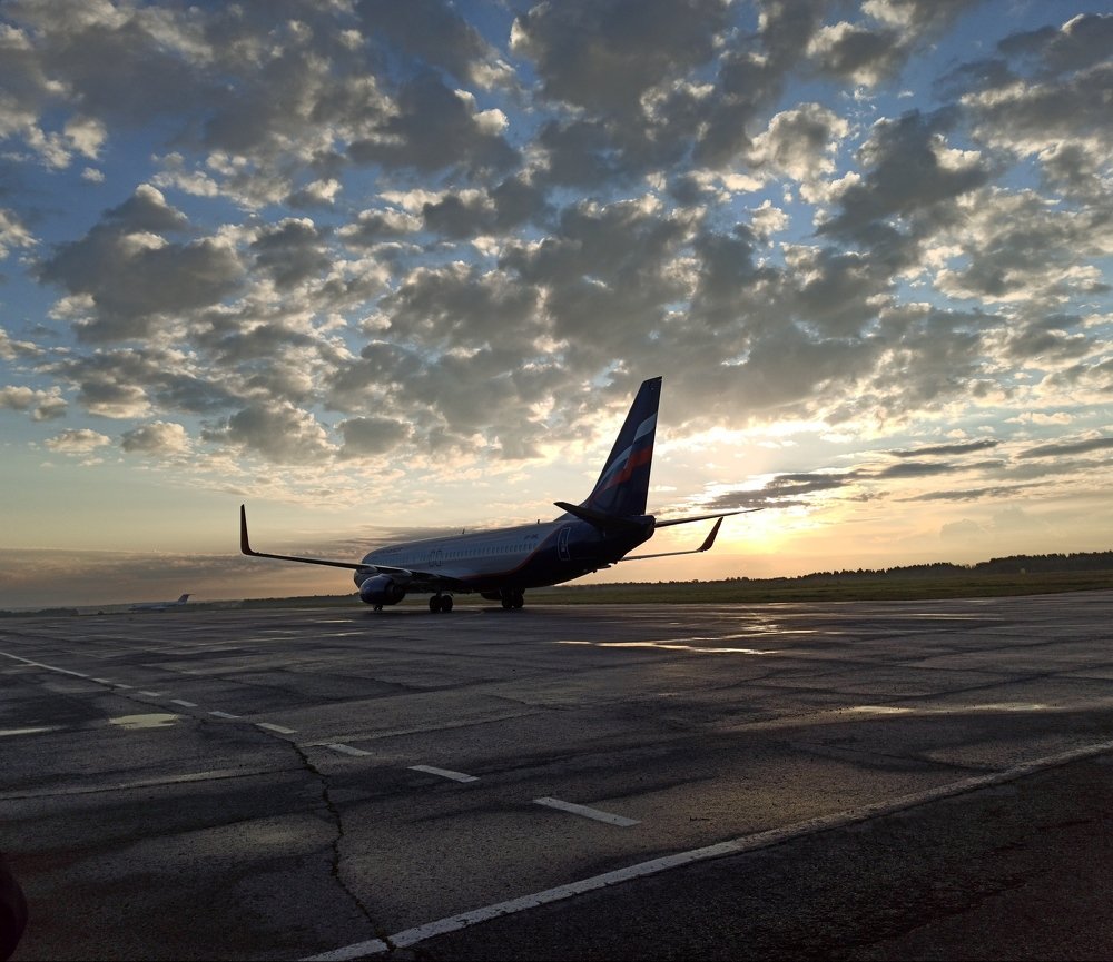 The plane is waiting for dawn