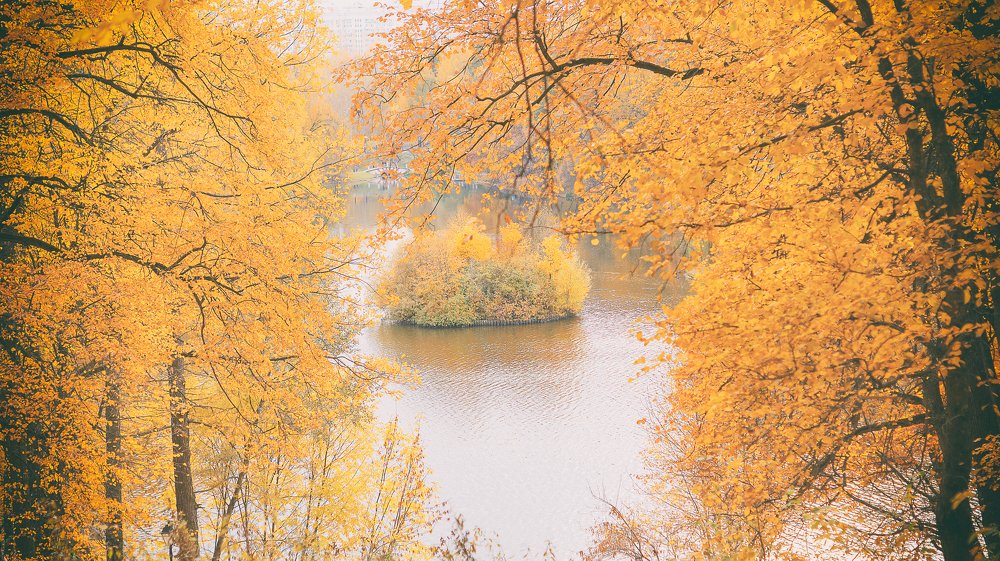 Photograph by Алексей Булгаков