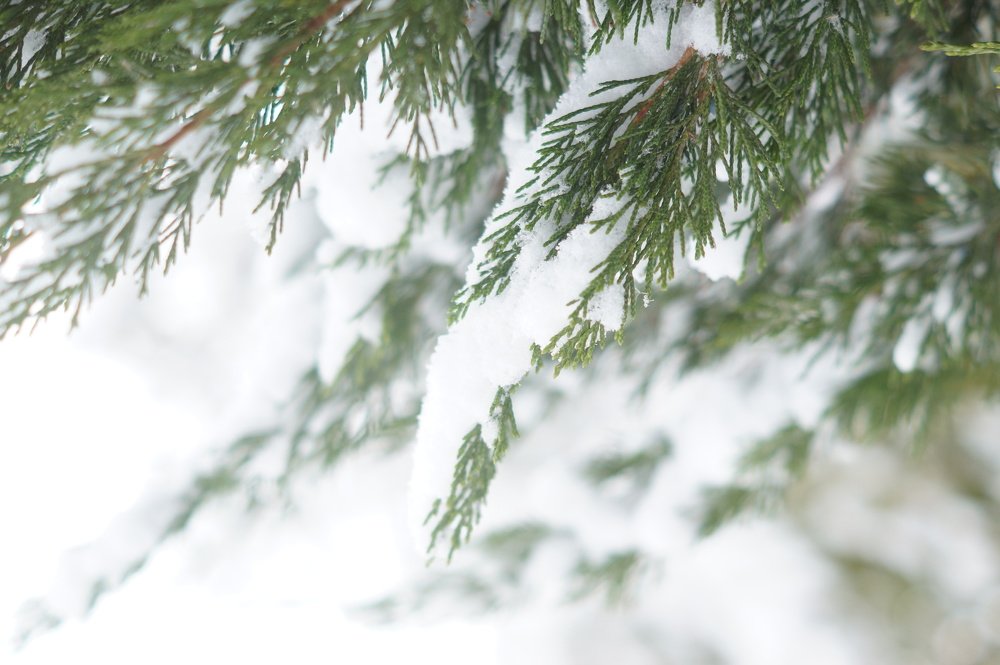 Photograph by Анастасия Клевец