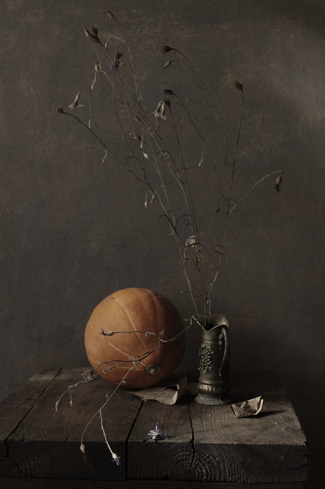 Фотография автора Коршак Елена