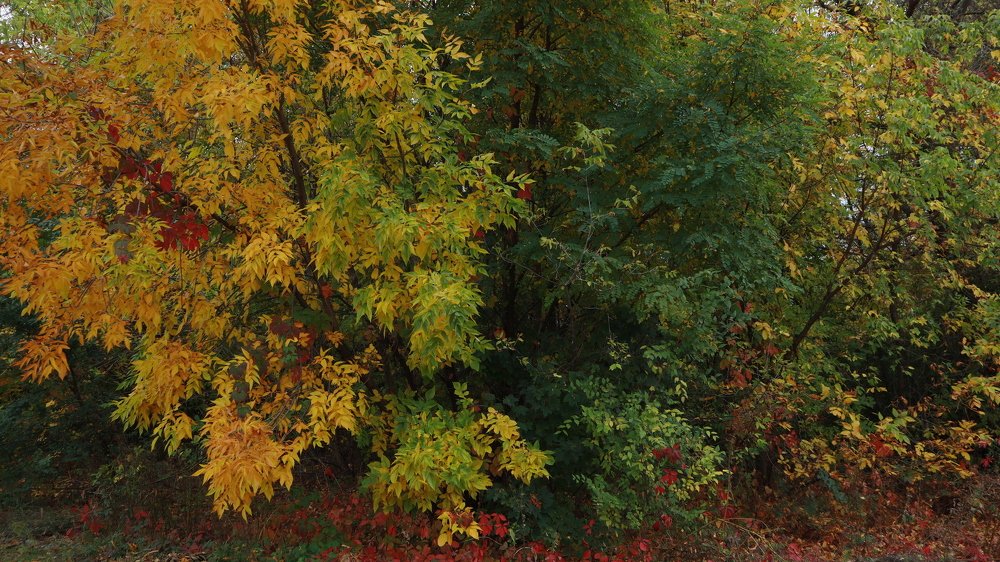 Photograph by Татьяна Маринич