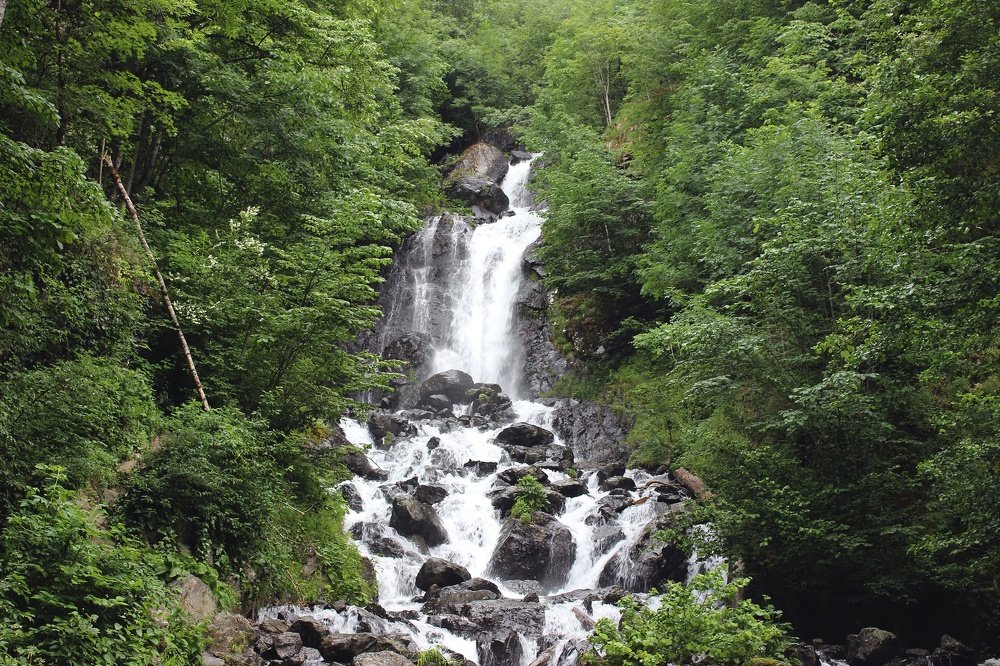 Photograph by Татьяна Пальчикова