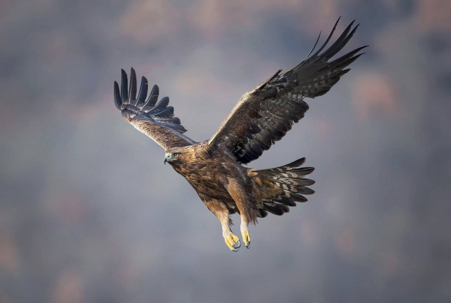 Фотография #5362866