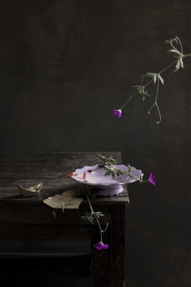 Фотография автора Коршак Елена