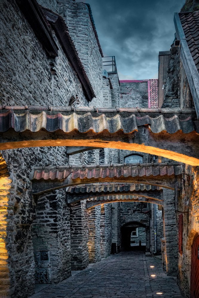 Photograph by Oleg Kuzovlev