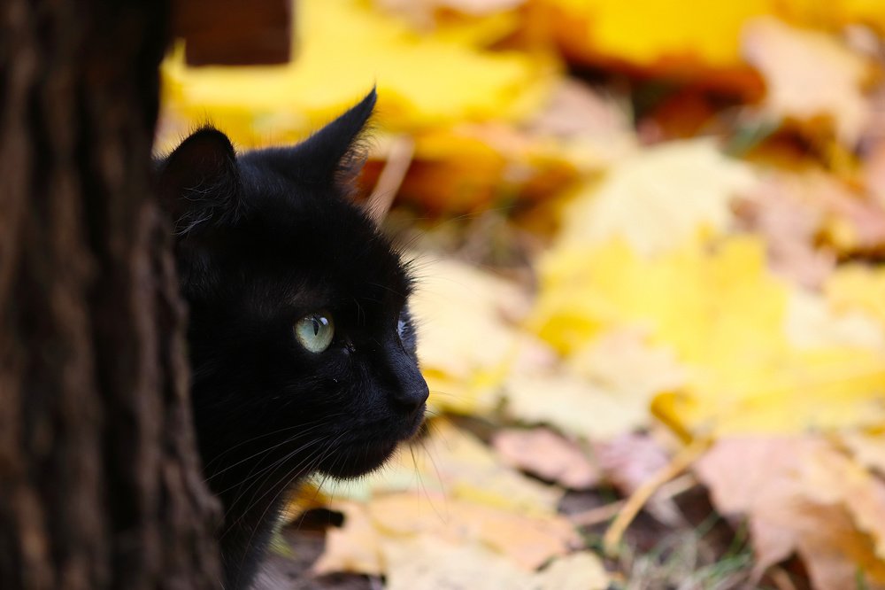 Photograph by Алексей Герасимов