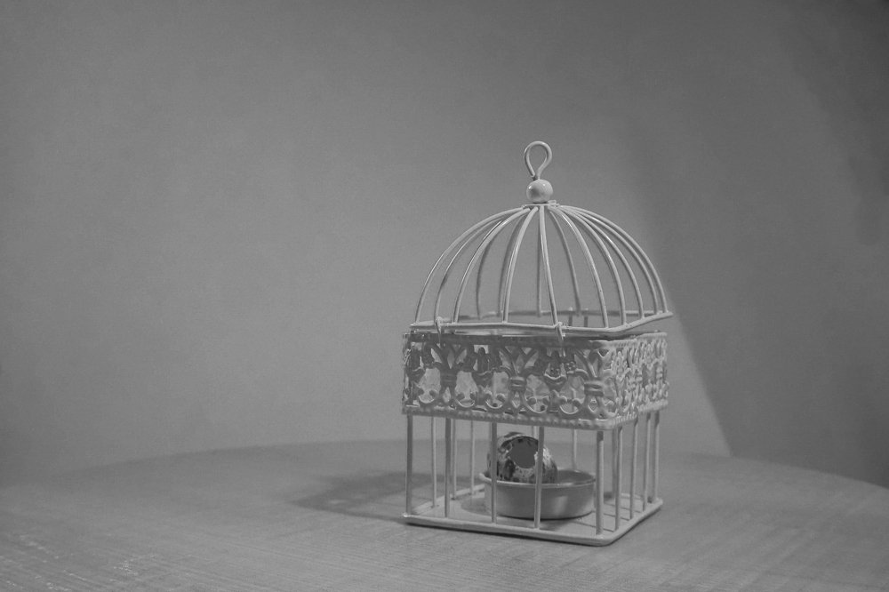 Photograph by Елена Никонова