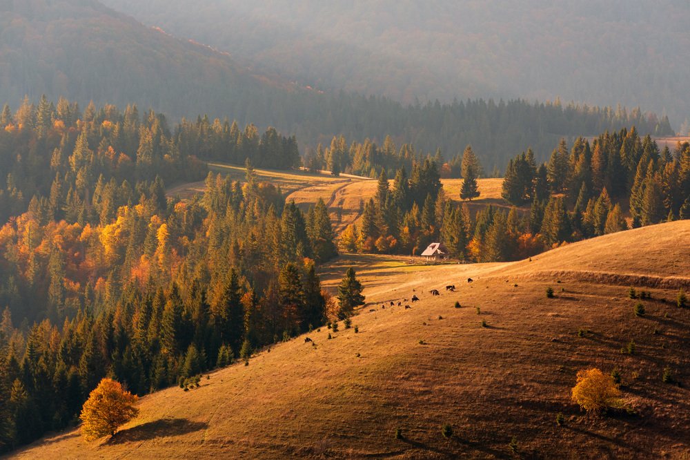 Photograph by Крицак Ольга