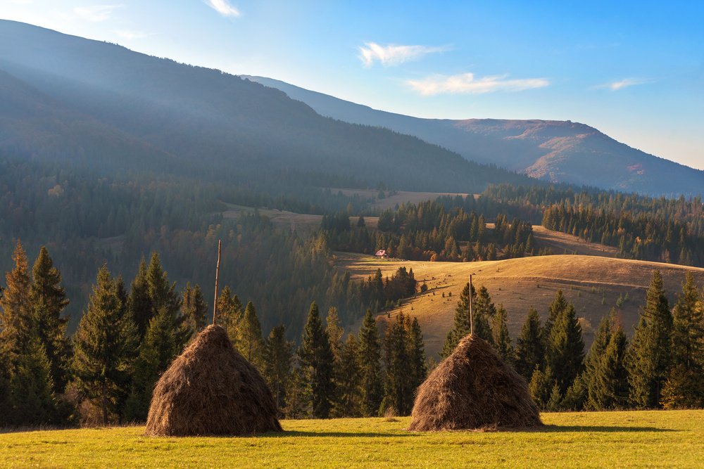 Photograph by Крицак Ольга