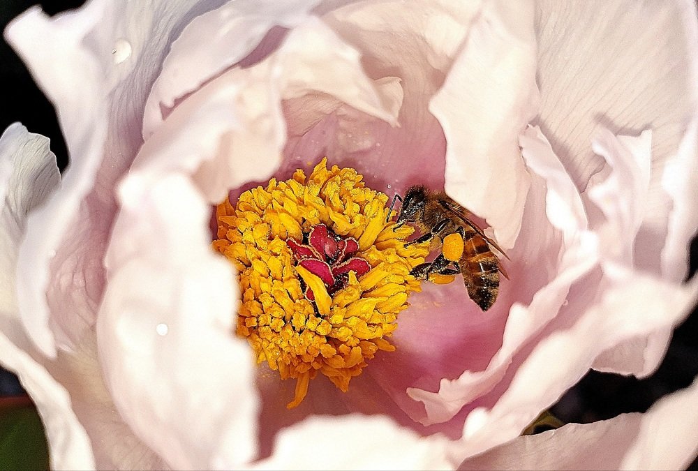 Photograph by Нелли Сидоренко