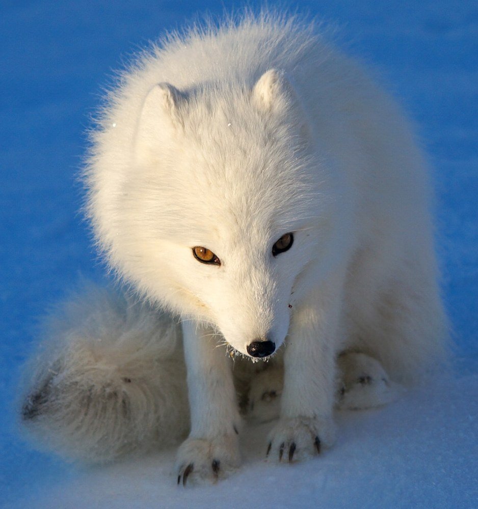 Photograph by Y.u.z.a.k