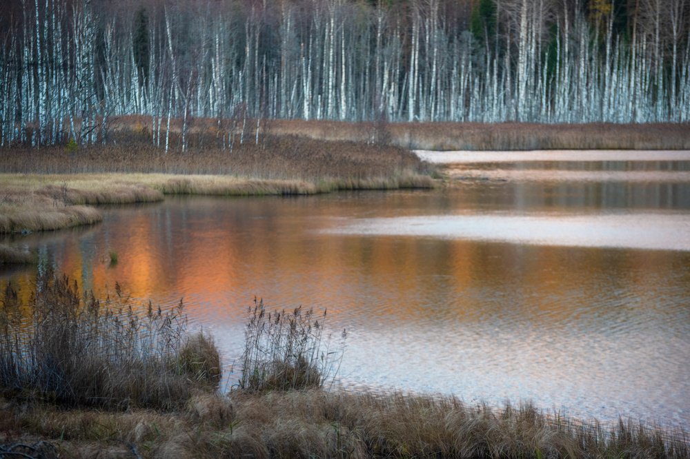 Photograph by Крицак Ольга