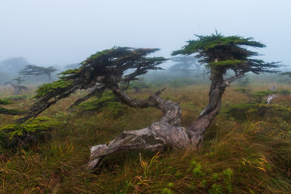 Photograph by Крицак Ольга