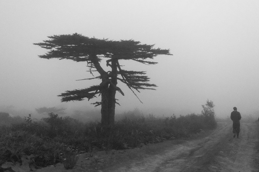 Photograph by Крицак Ольга