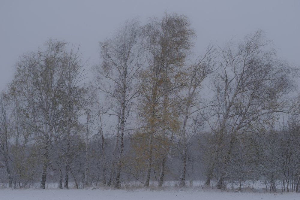 Photograph by Виктор Зотов