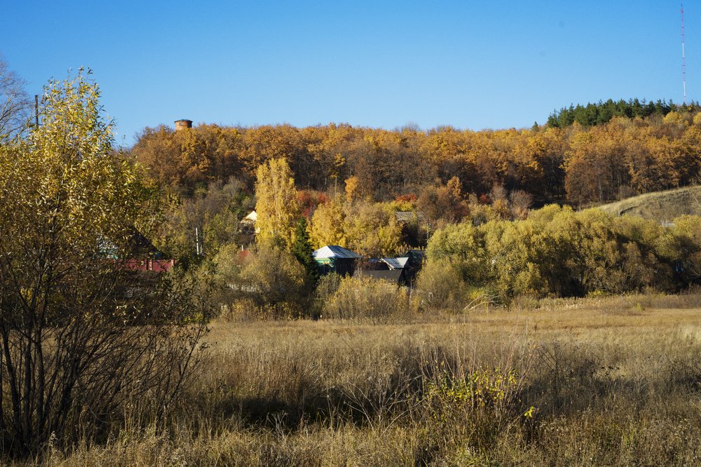 Photograph by Ксения Щербакова