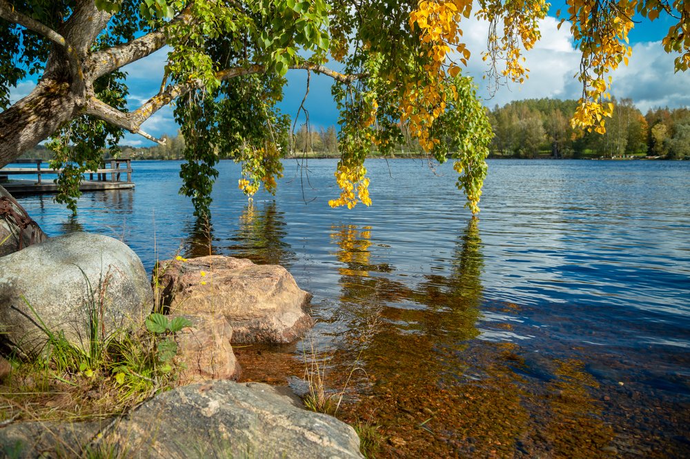 Photograph by Olga Kazachenok