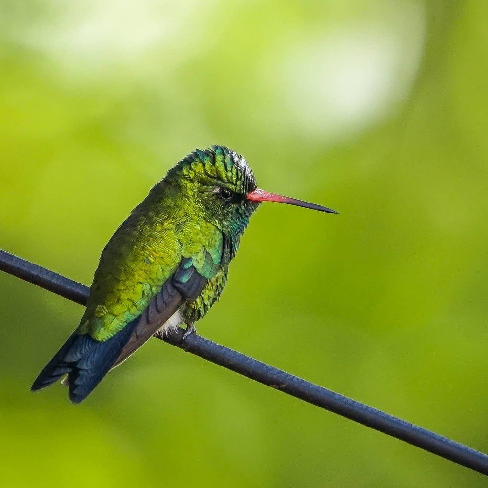 Photograph by Karina Elena Bergagna