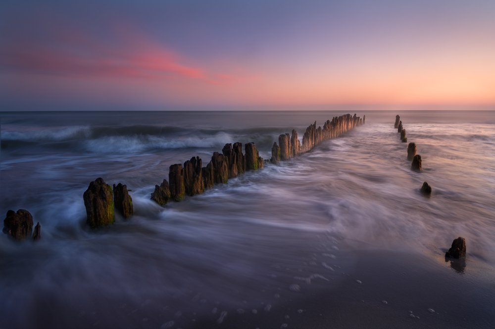 Photograph by Patryk Janota