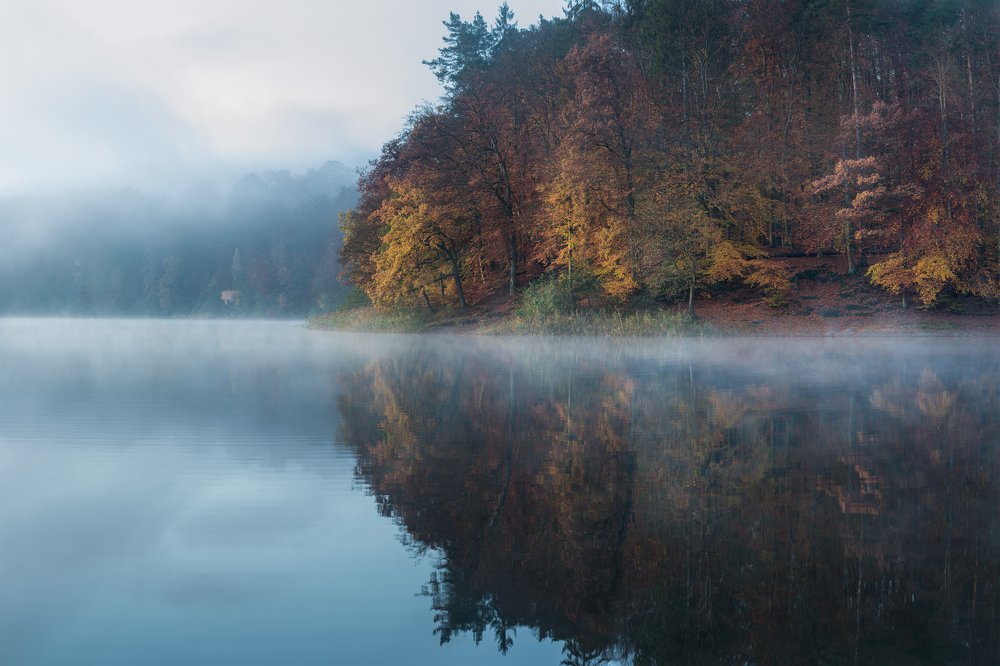 Photograph by Patryk Janota