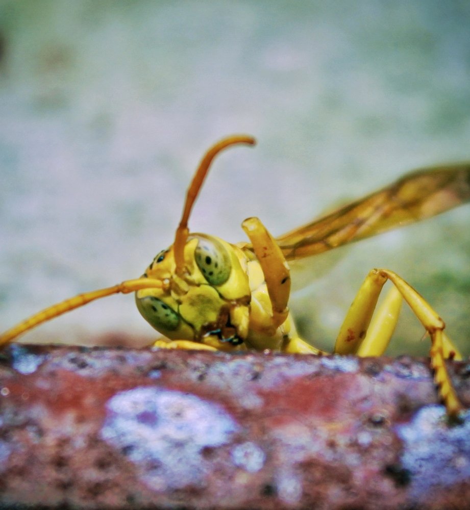 Photograph by Tanvir Ahammad Emon