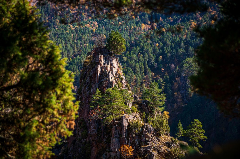 Photograph by Марина Егорова