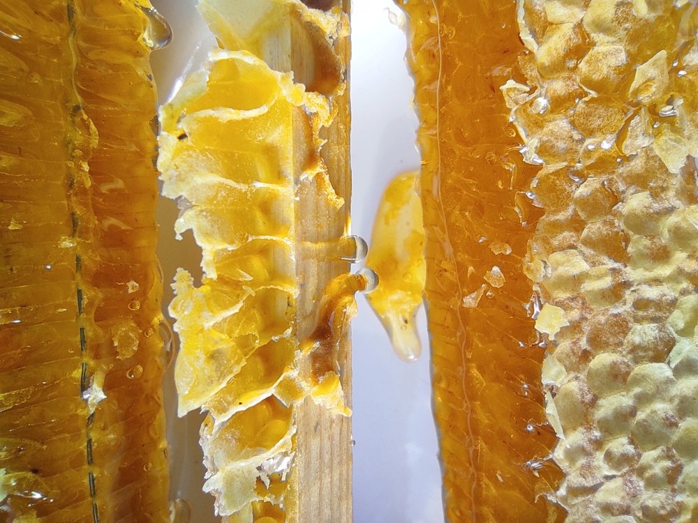 Photograph by Лидия Самойлова