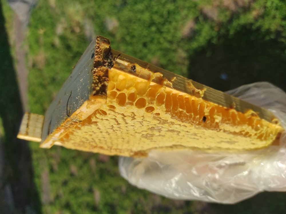 Photograph by Лидия Самойлова