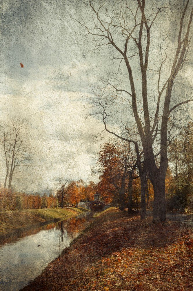 Photograph by Светлана Воробьёва