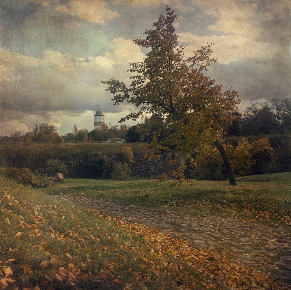 Photograph by Светлана Воробьёва