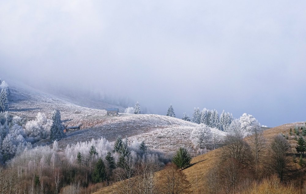 Фотография автора Remus Lucescu