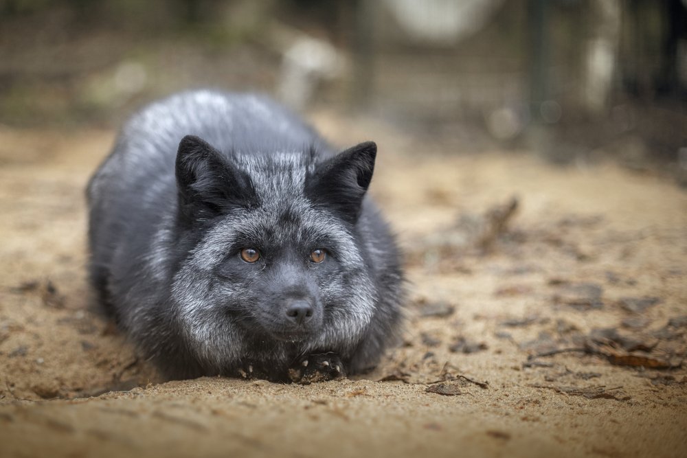 Photograph by Наталия Иванова