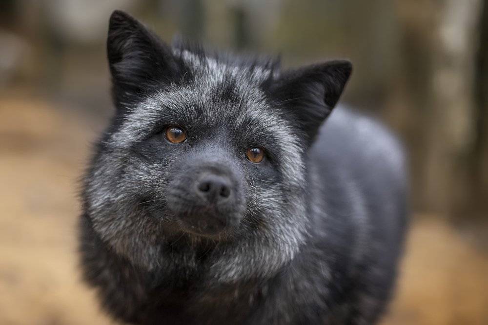 Photograph by Наталия Иванова