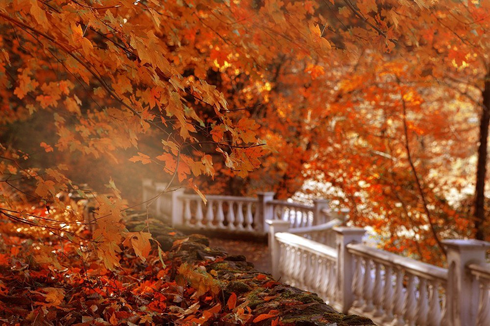 Photograph by Марина Володько