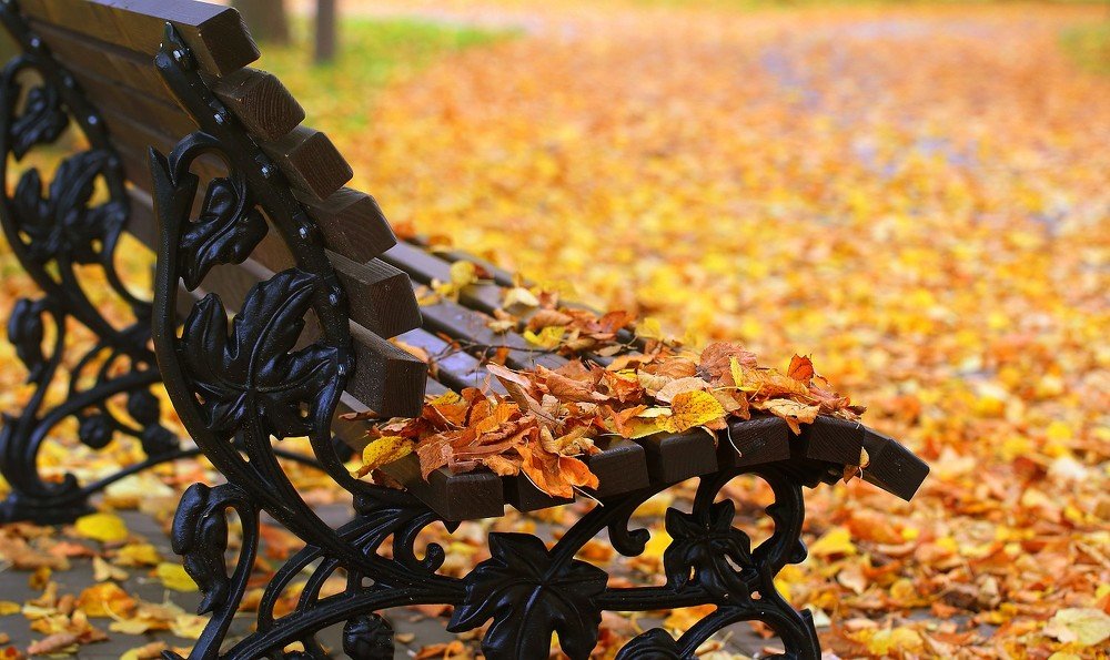 Photograph by Марина Володько