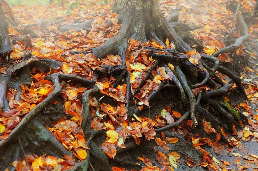 Photograph by Марина Володько