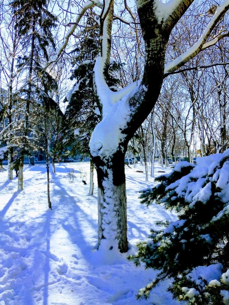 Photograph by Татьяна Пальчикова