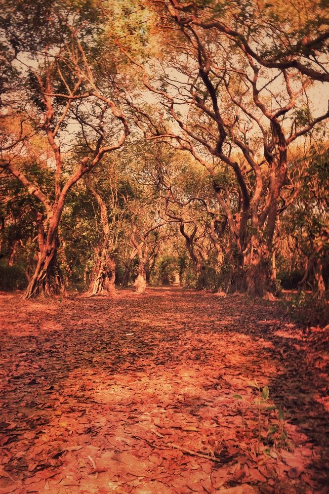 Photograph by nadirujaman hemal fakir fakir