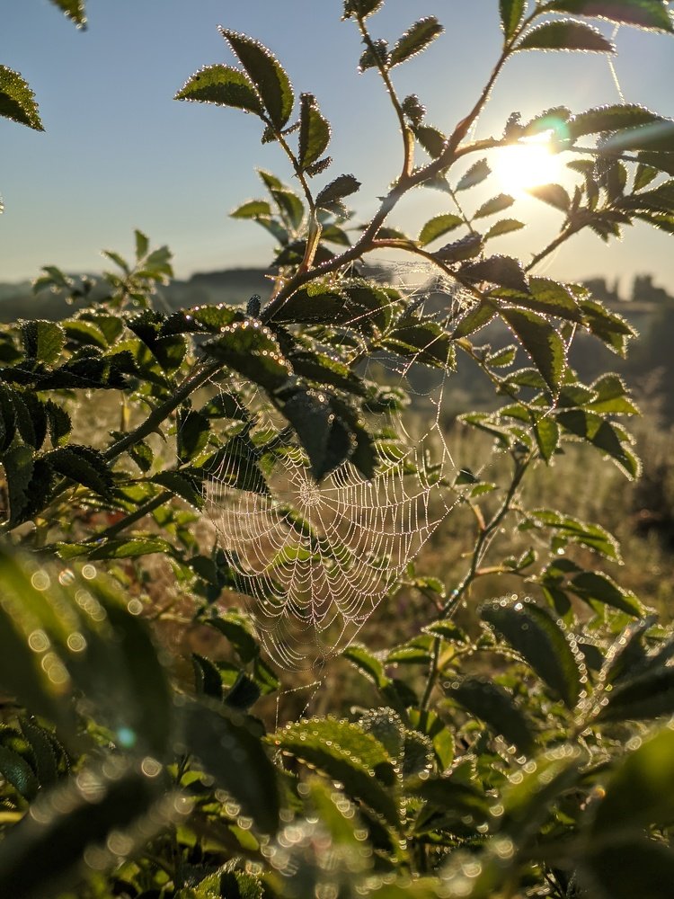 Photograph by Кирилл Ананьев