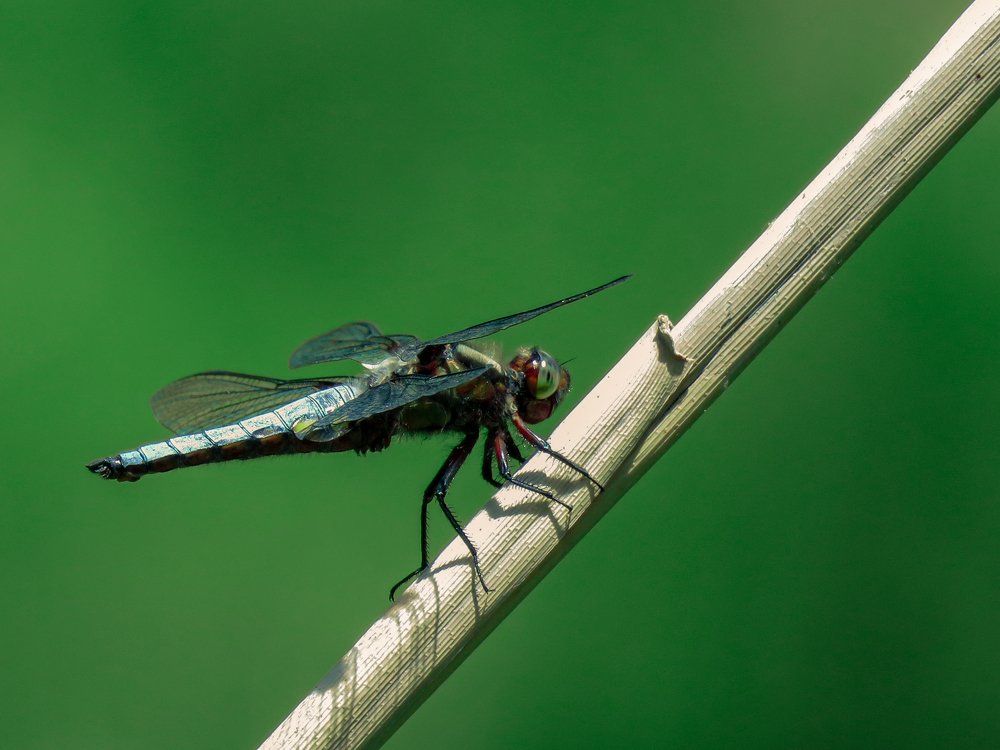 Photograph by Bahrami Ashkan