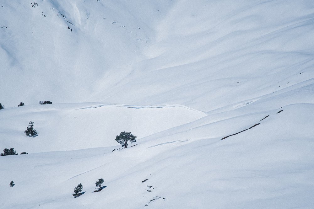Photograph by ЕВГЕНИЙ РУДЕНКО