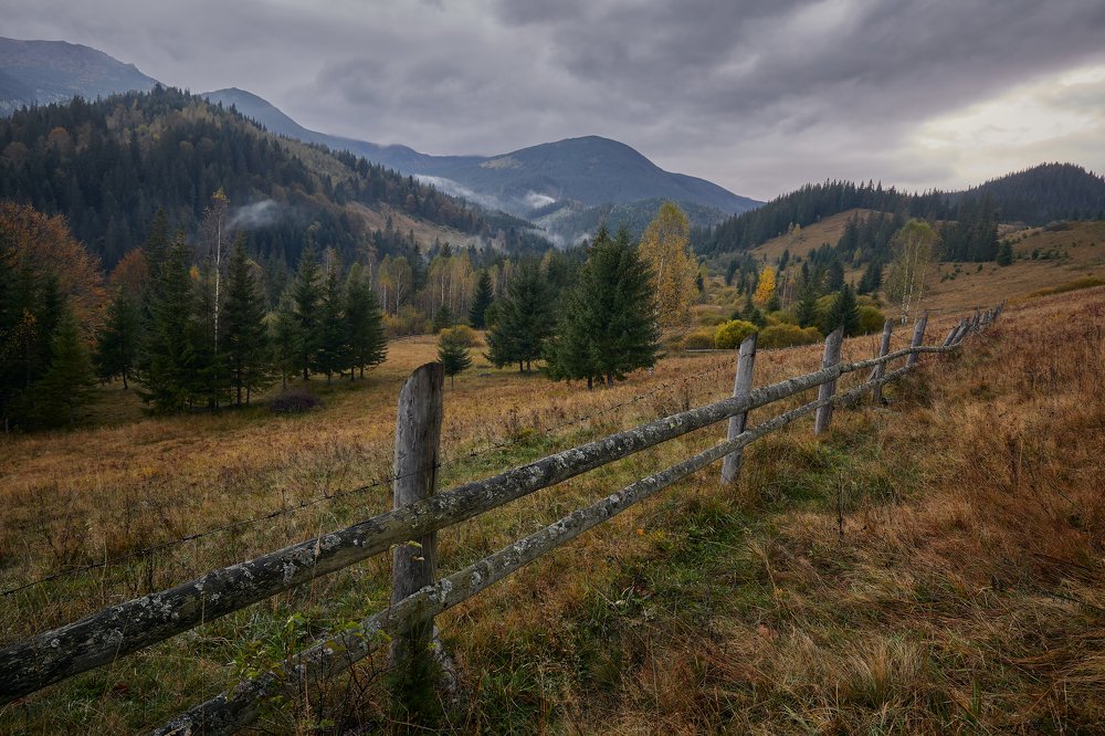 Photograph by Владислав Кучерук