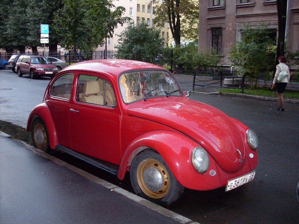 Машины Петроградки.